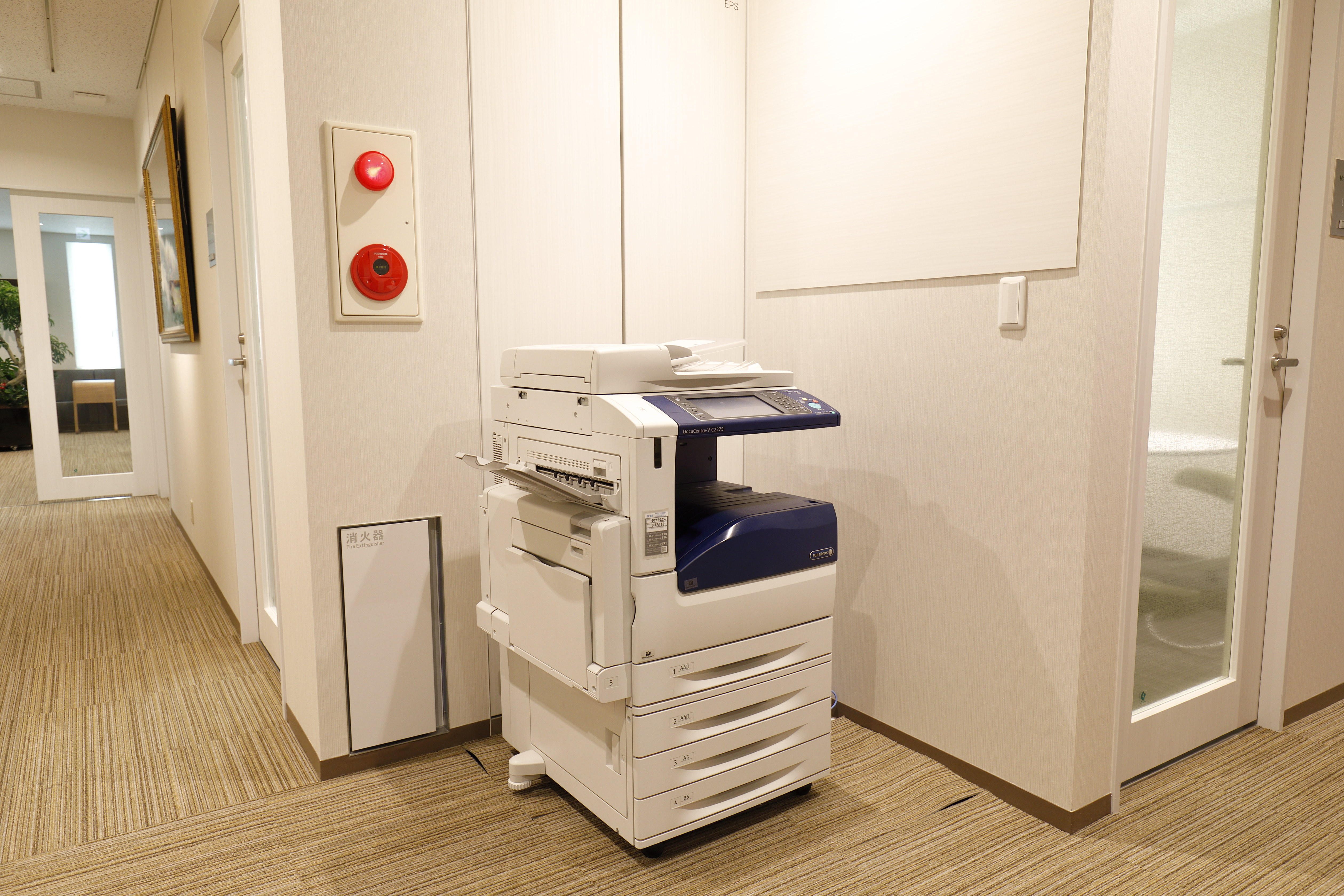 BUREX FIVE　（ビュレックス　ファイヴ）の写真