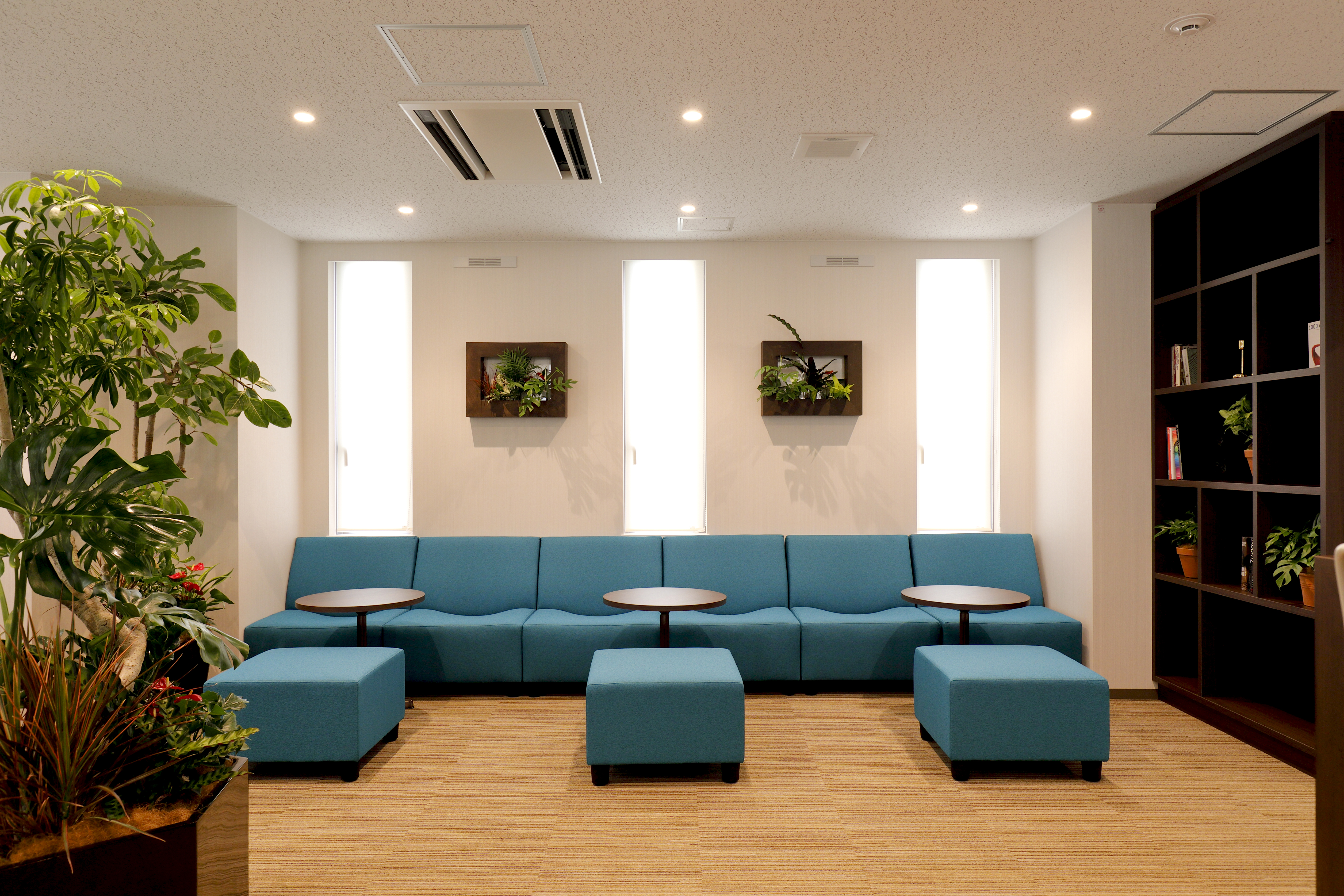 BUREX FIVE　（ビュレックス　ファイヴ）の写真