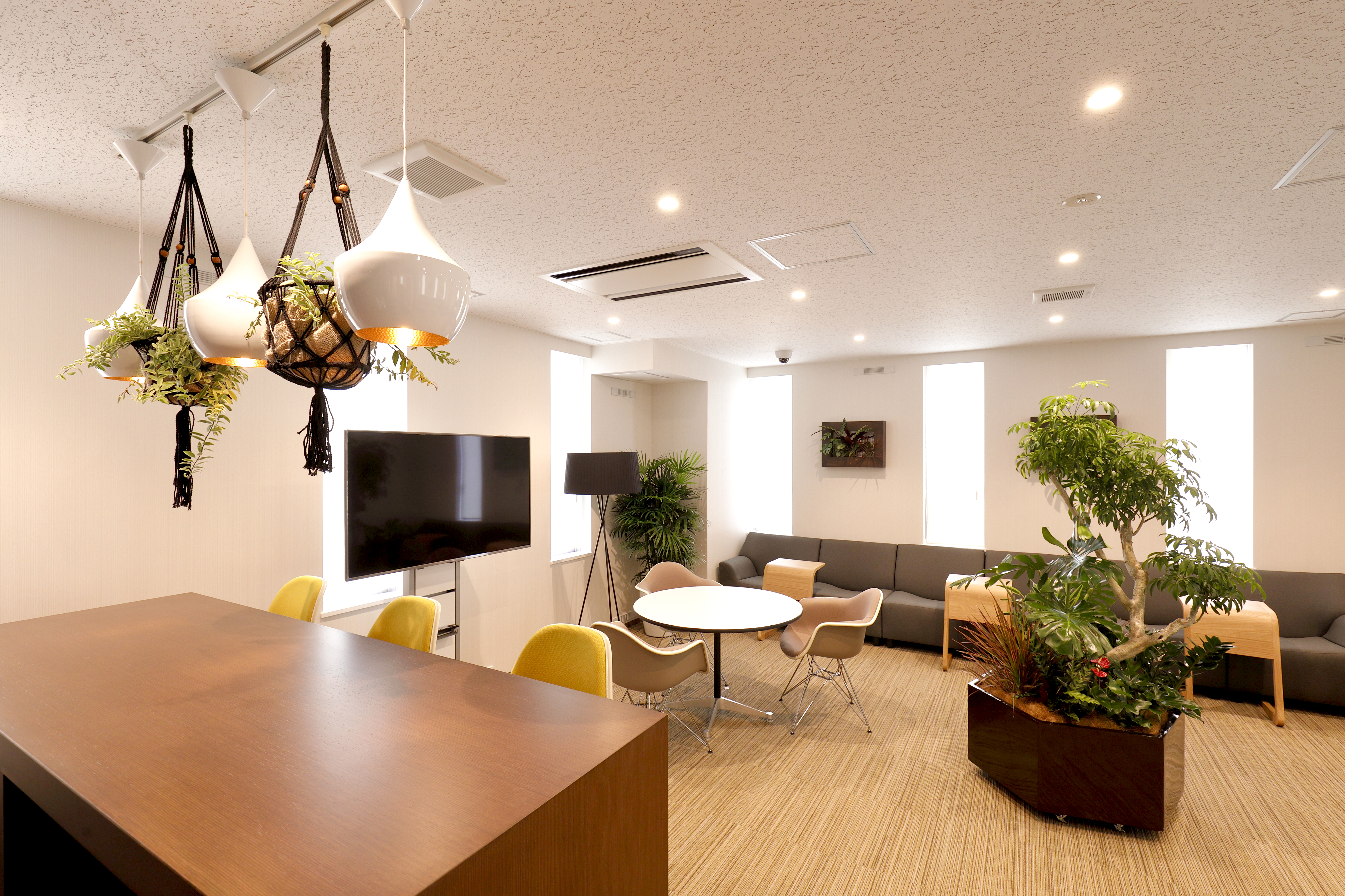 BUREX FIVE　（ビュレックス　ファイヴ）