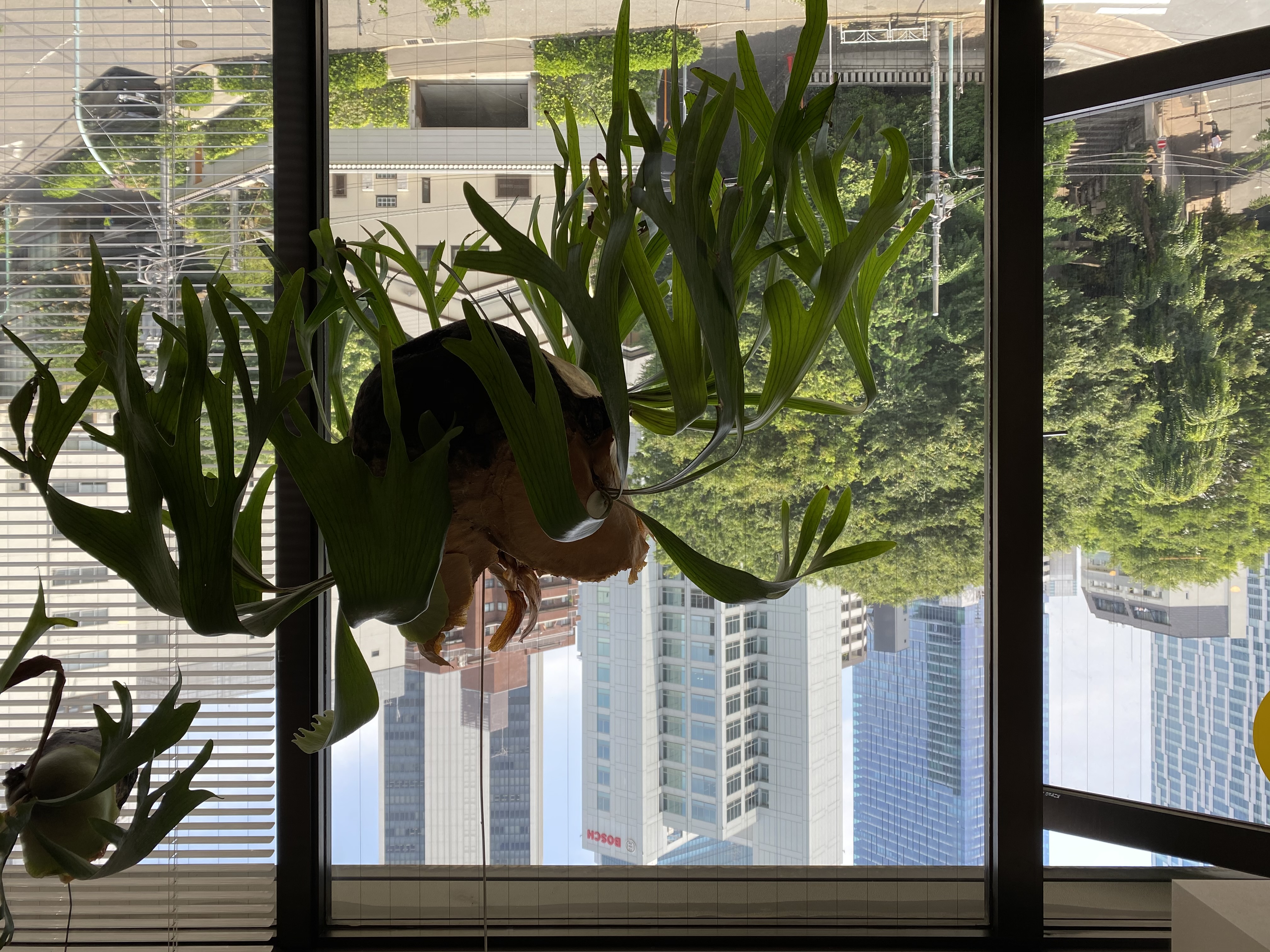 goodoffice渋⾕の写真