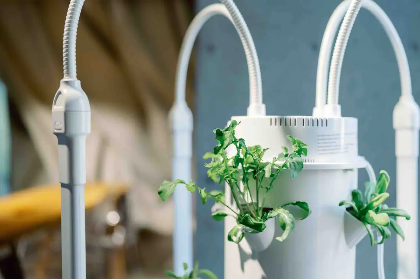 RYOZAN PARK GREENの写真