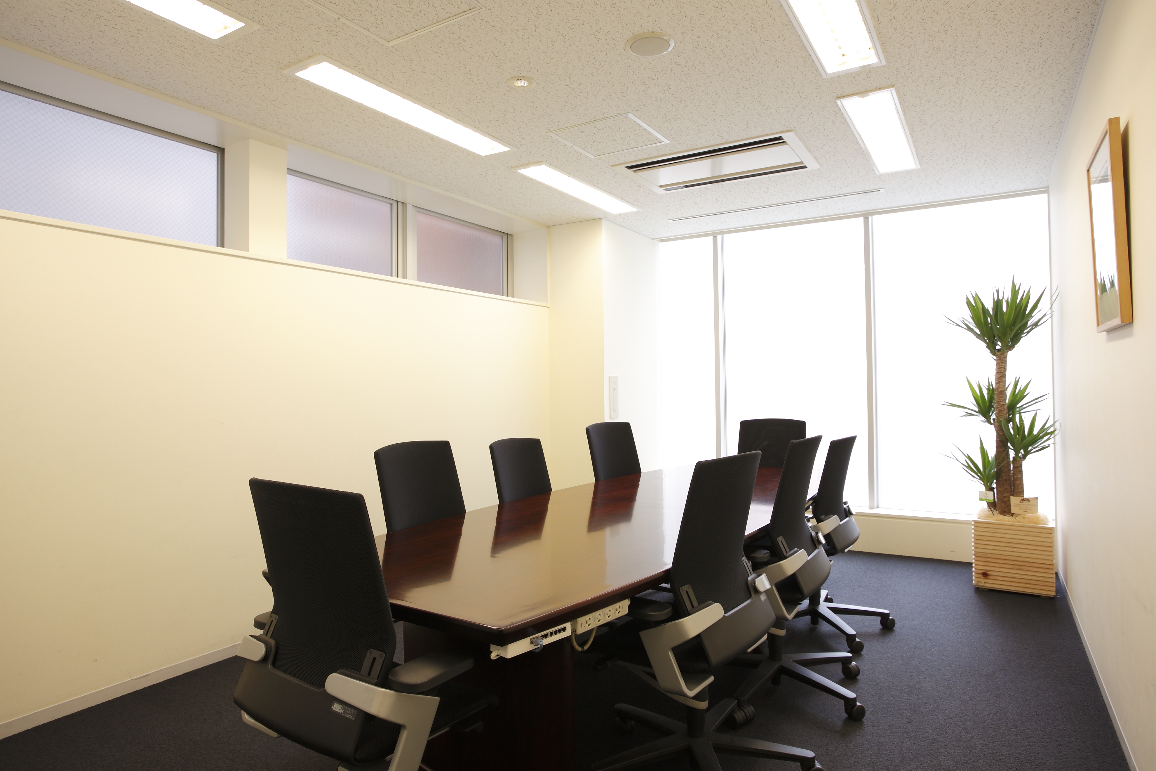 ビュレックス麹町（BUREX麹町）の写真